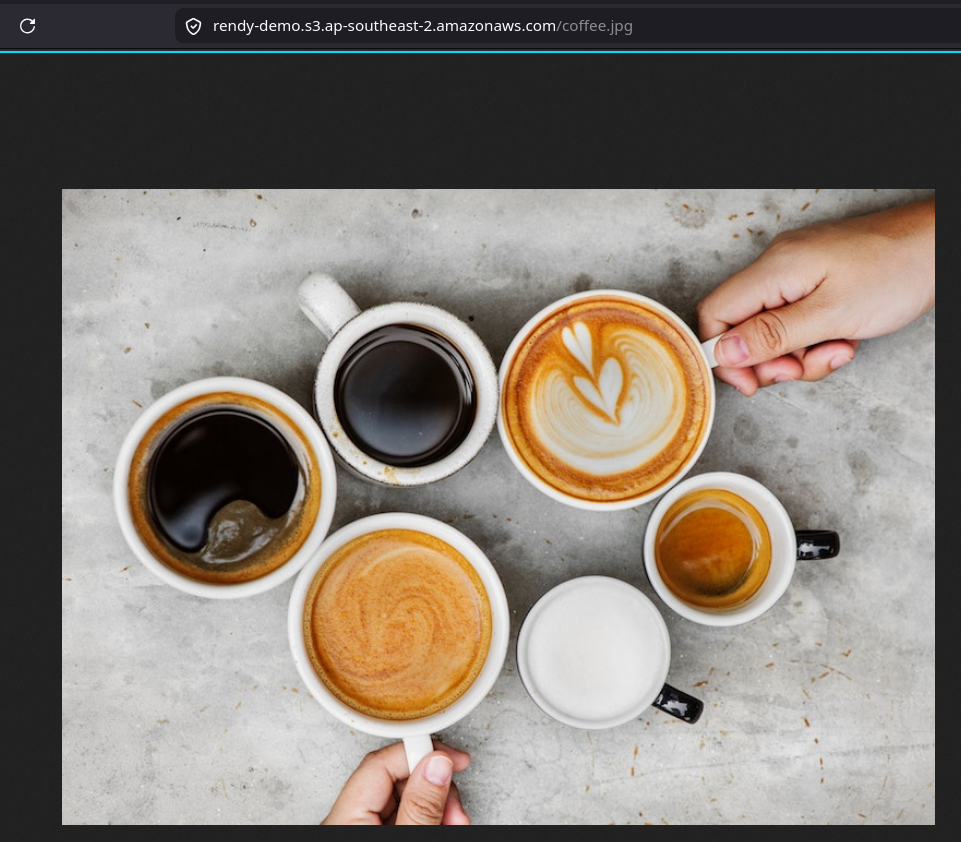 Accessing Asset using Public URL