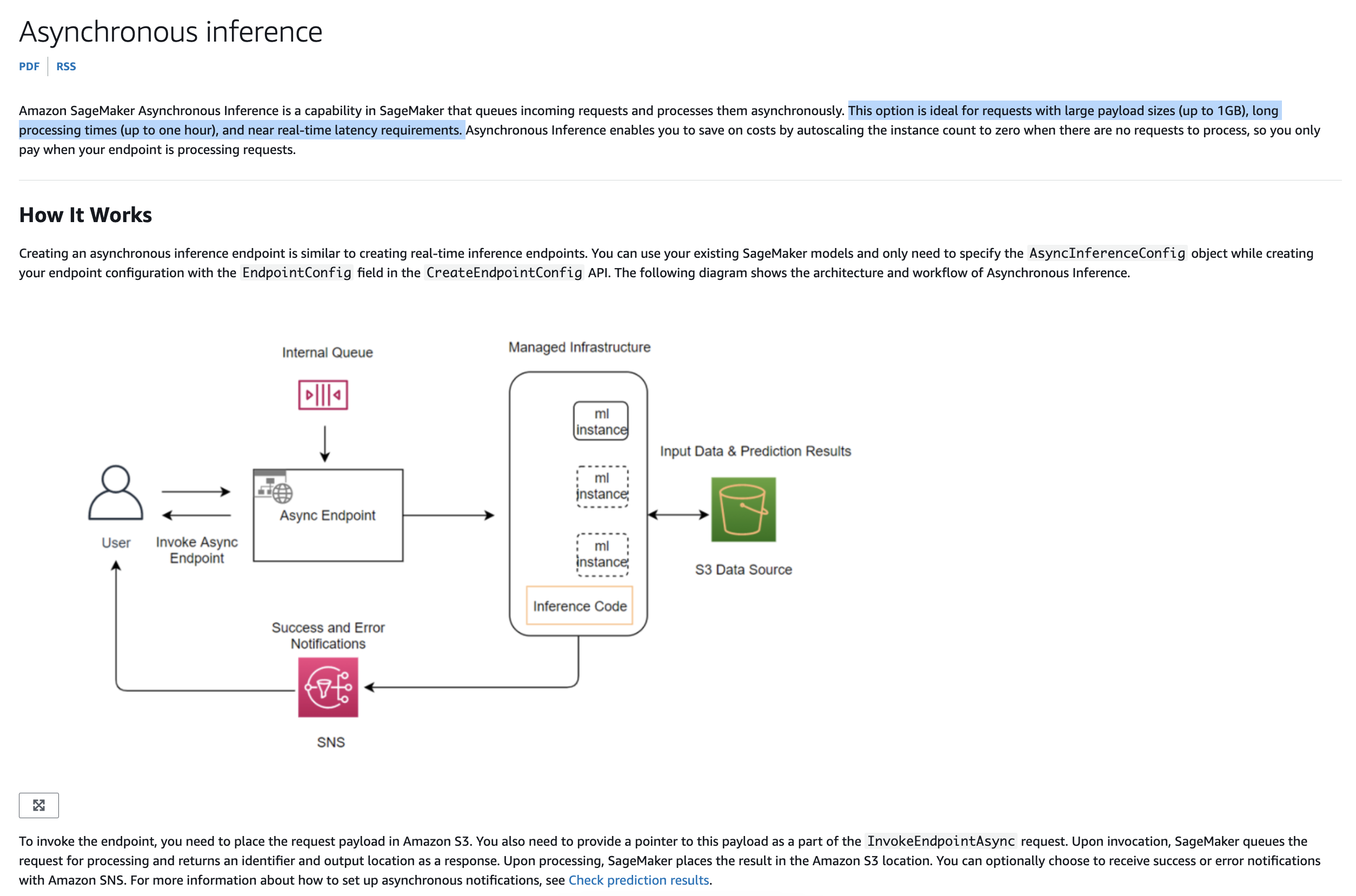 Asynchronous Inference