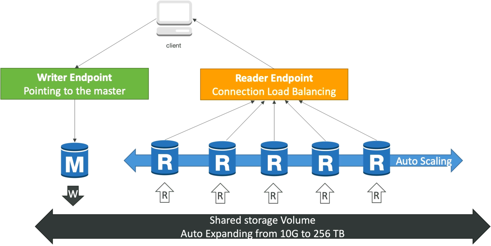 Aurora DB Cluster