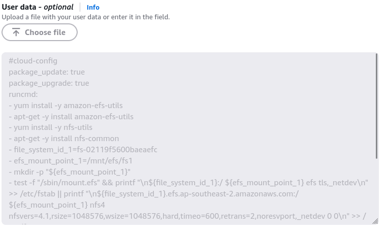 User Data Script with EFS Mounting