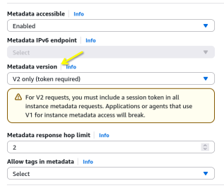 Metadata version