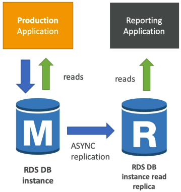 RDS Read Replica for Analytics