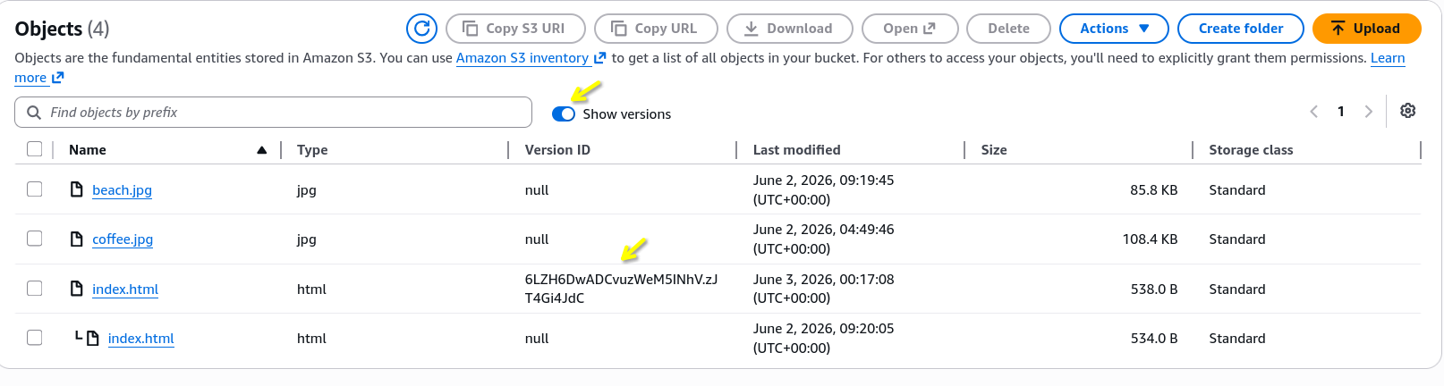 Versioning in Action